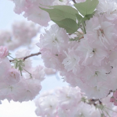 兽设星空场景设计兽圈社群